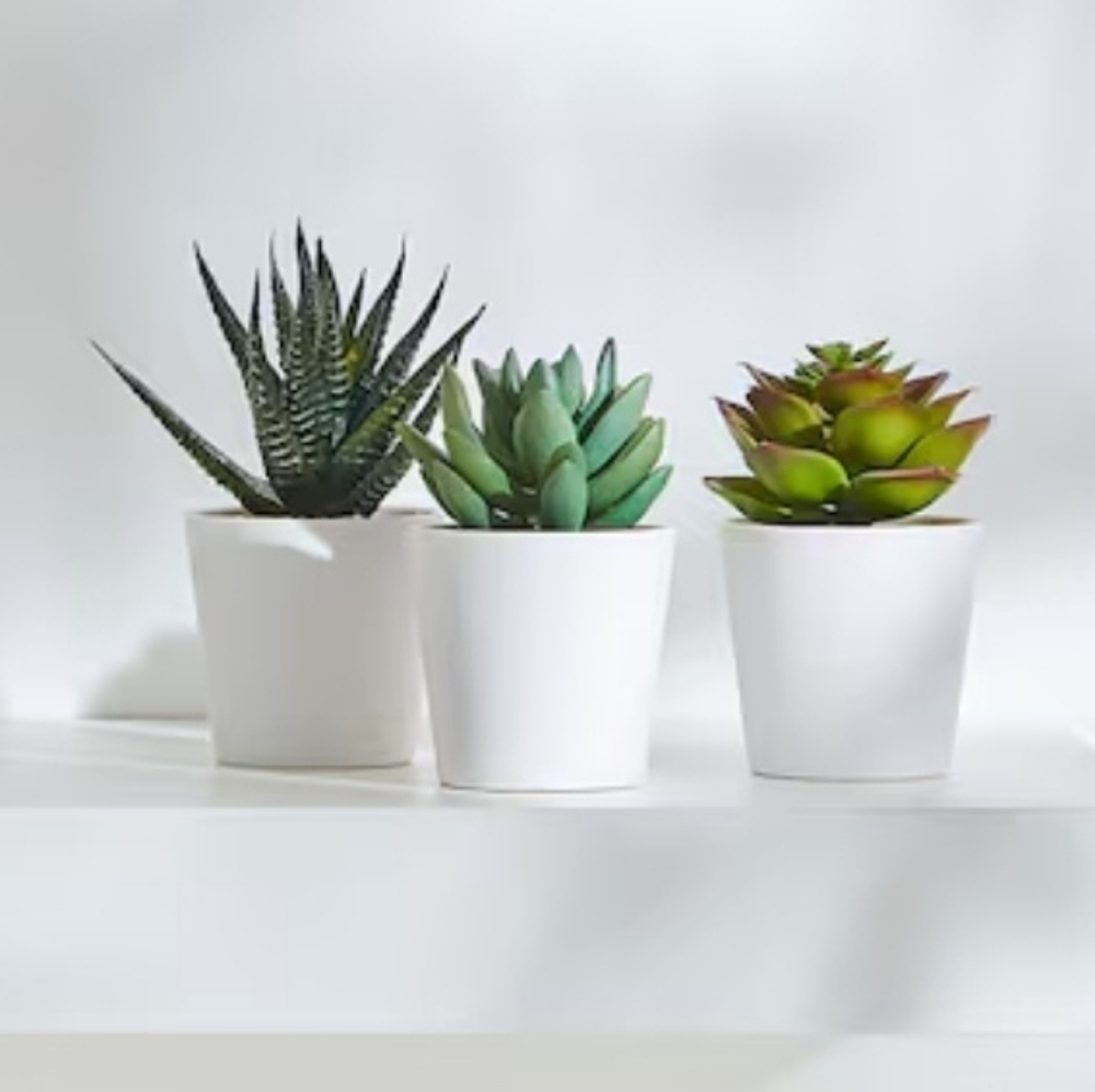 Ikea Fejka 3 faux Succulent Plants - Picture 2 of 7